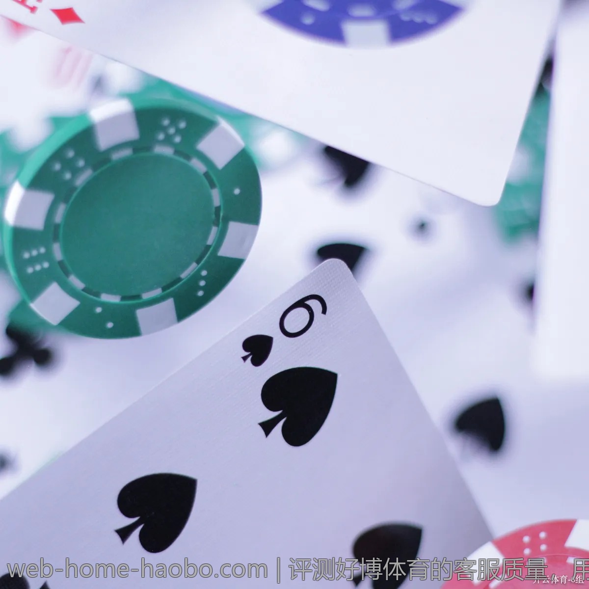 评测好博体育的客服质量，用户反馈中的亮点
