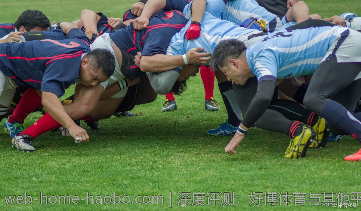 深度评测:好博体育与其他平台的差异化优势分析