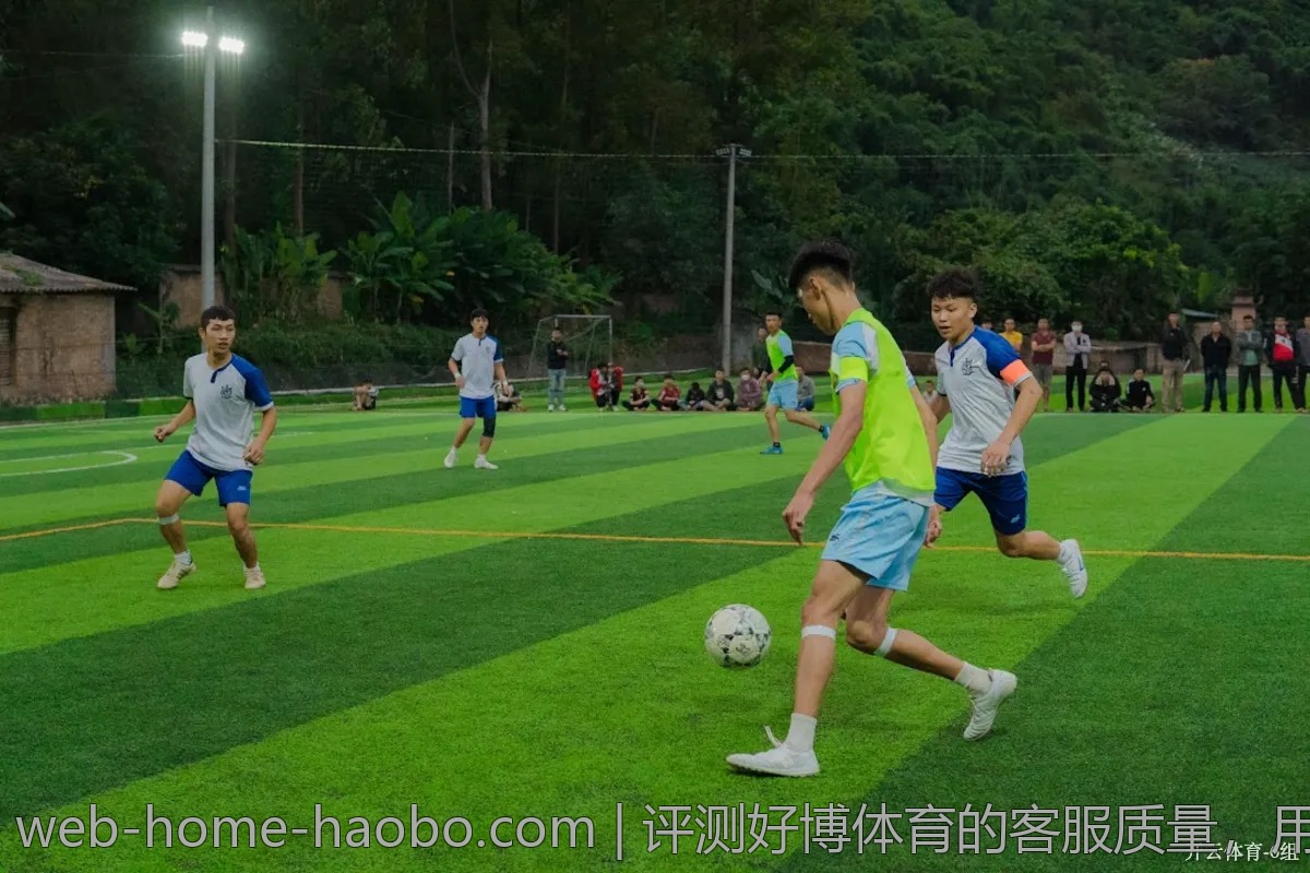 评测好博体育的客服质量,用户反馈中的亮点