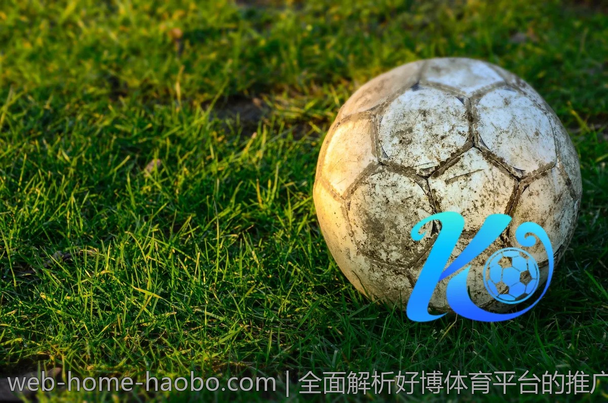 全面解析好博体育平台的推广活动,如何增加收益?